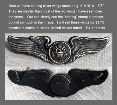 Wings of silver.jpg
