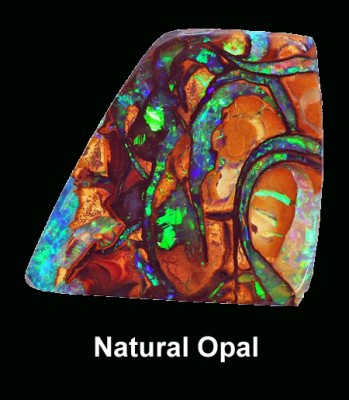 Opal 2 Ready to post.jpg