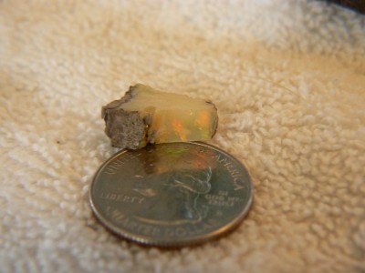 Slab of gem lemon opal from Virgin Valley