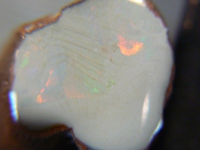 Hart Mtn precious Opal nodule