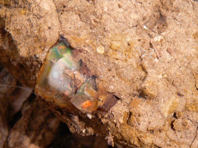 hiding opal