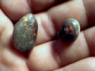 Opalized Wood cabs