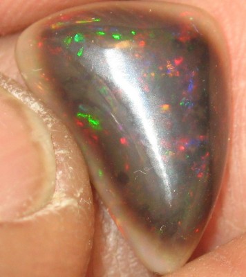 Black Opal is not all crazy