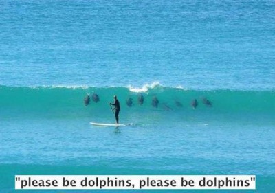 15 - Dolphin Prayer.jpg