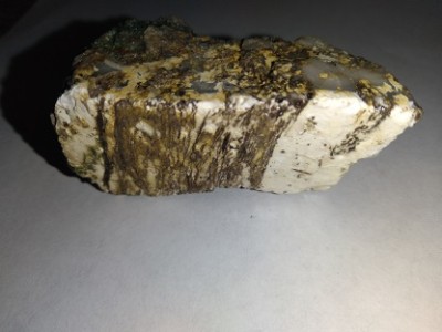 Opalized Wood with roots Swordfish Mining