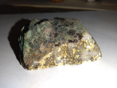Opalized Wood with roots Swordfish Mining
